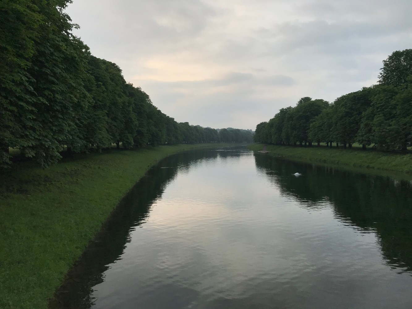 a body of water surrounded by trees Cologne