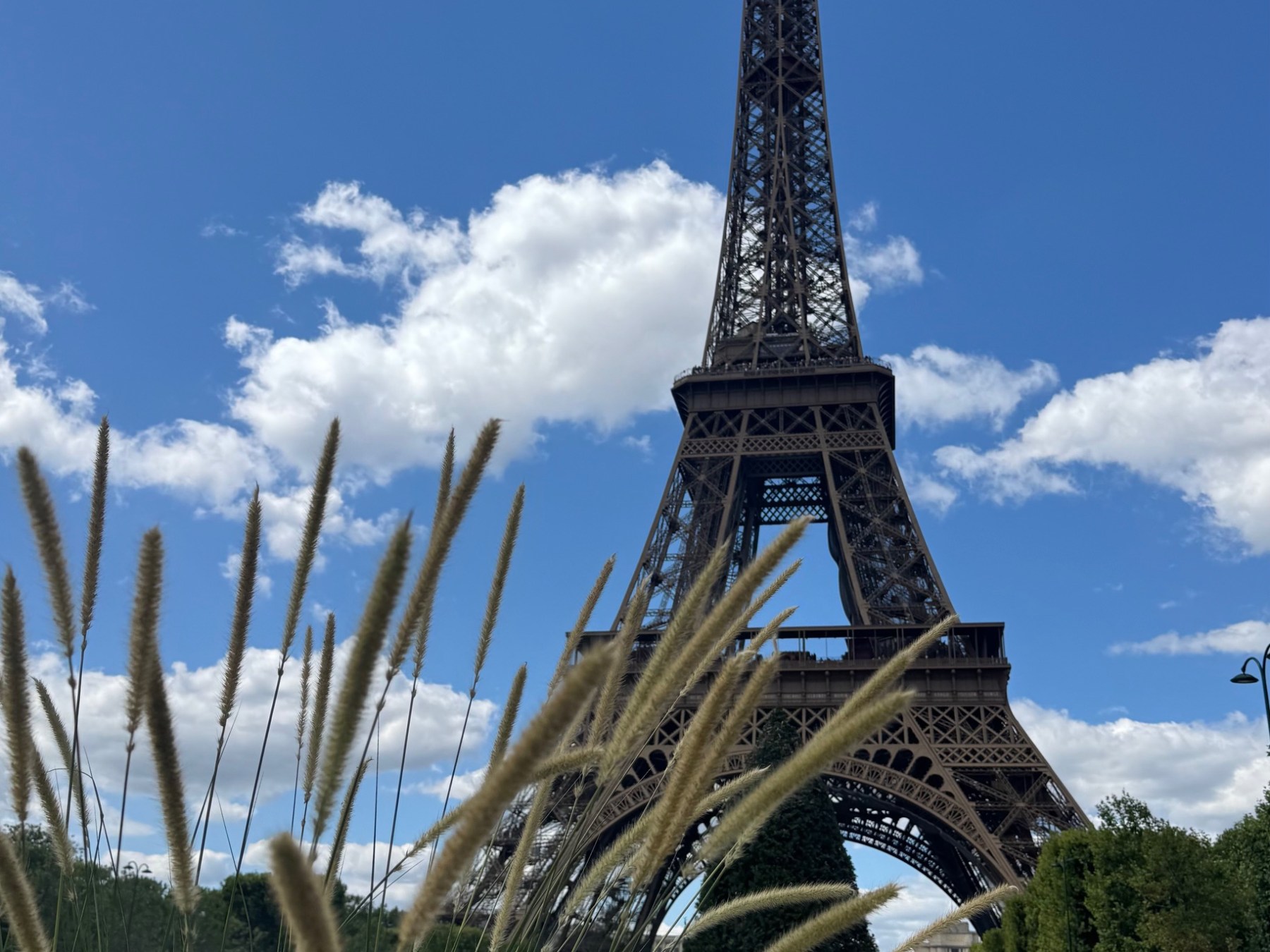 Beautiful picture of the Eiffel Tower, Paris in 2026