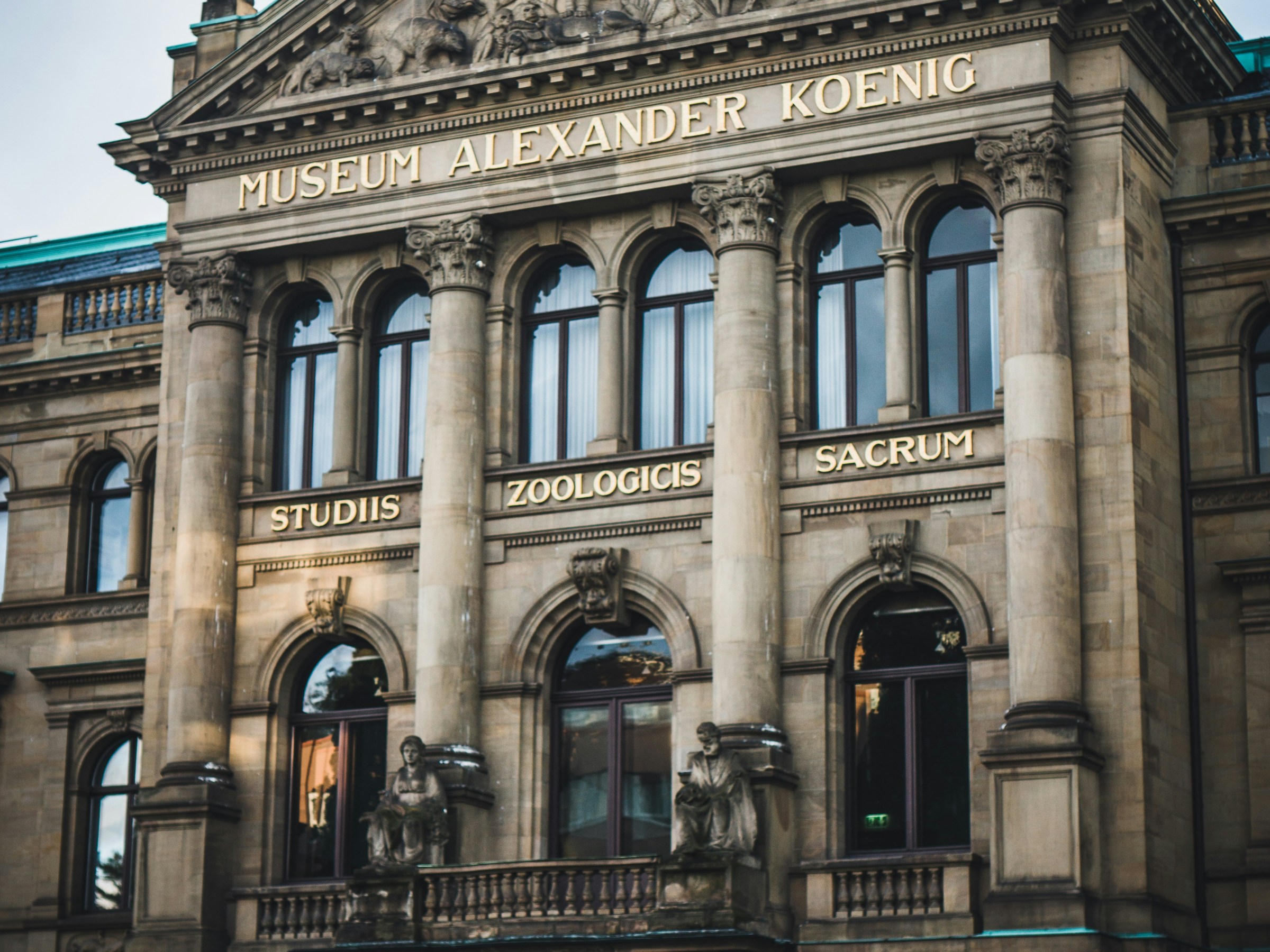 Museum Koenig Bonn during free walking tour of Bonn, Germany