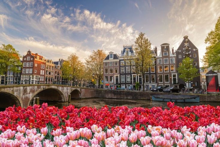 Tulip Season Amsterdam 2026
